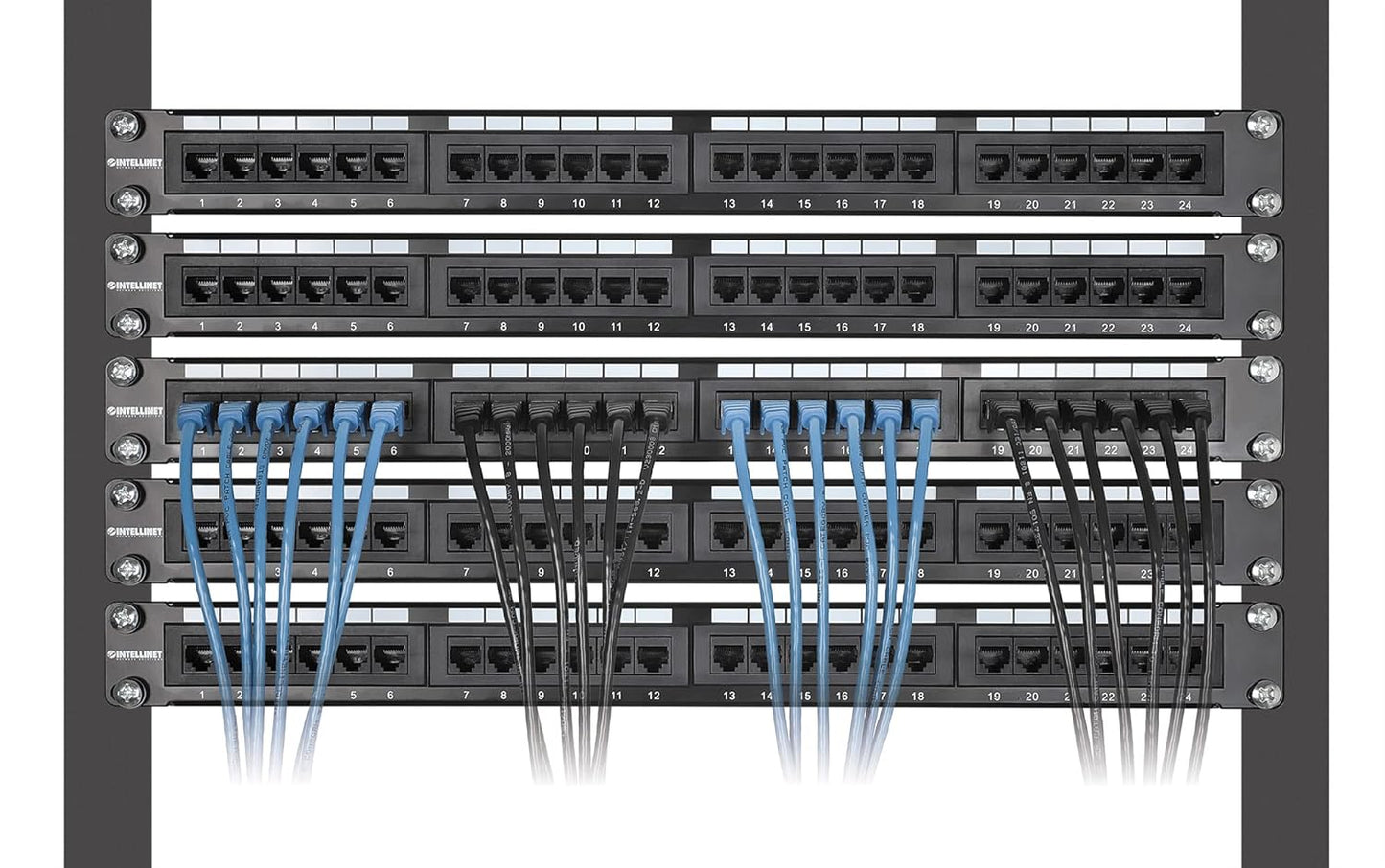 Cat8.1 U/FTP Slim Network Patch Cable, 3 ft., Blue, 10-Pack