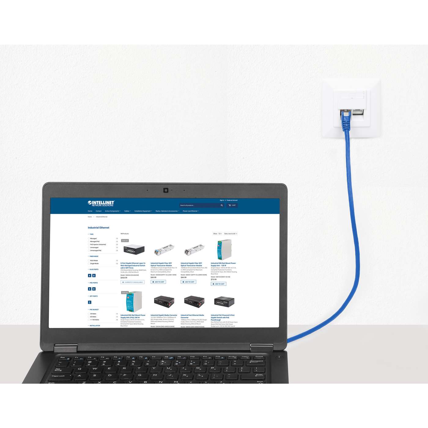 Cat8.1 S/FTP Network Patch Cable, 1 ft., Blue Image 6
